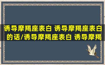 诱导摩羯座表白 诱导摩羯座表白的话/诱导摩羯座表白 诱导摩羯座表白的话-我的网站